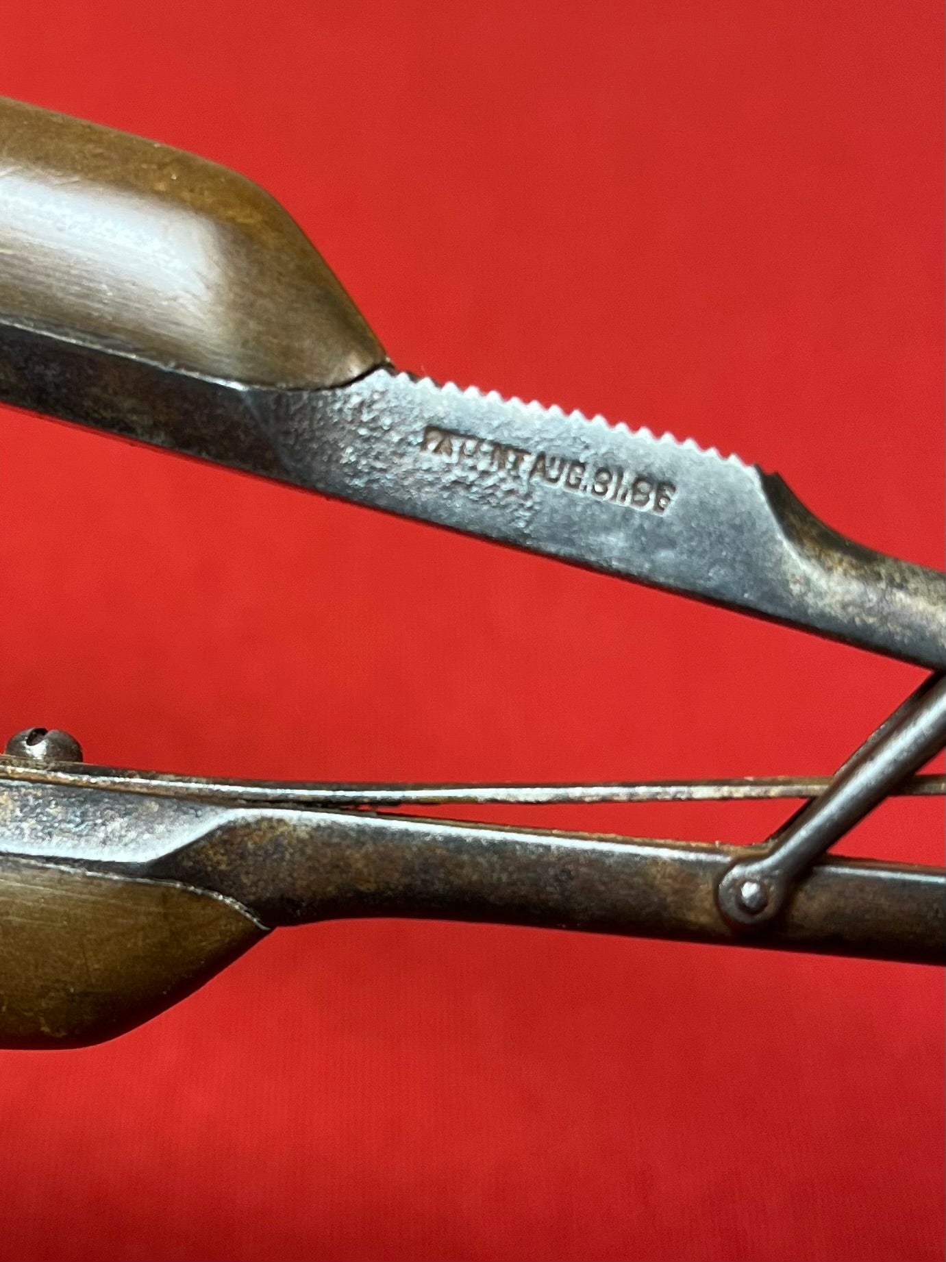 1830's Surgical Suture Holder by TIEMANN & CO. - Civil War Era