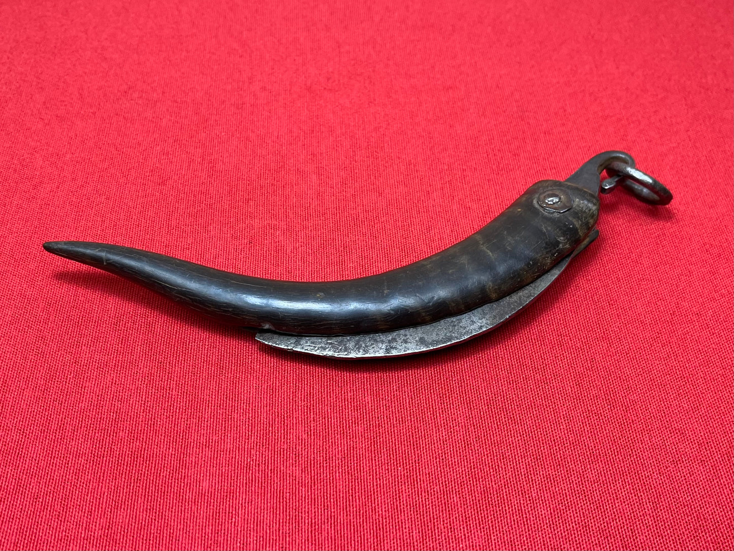 Pre-Civil War Folding Knife W/ Horn Handle