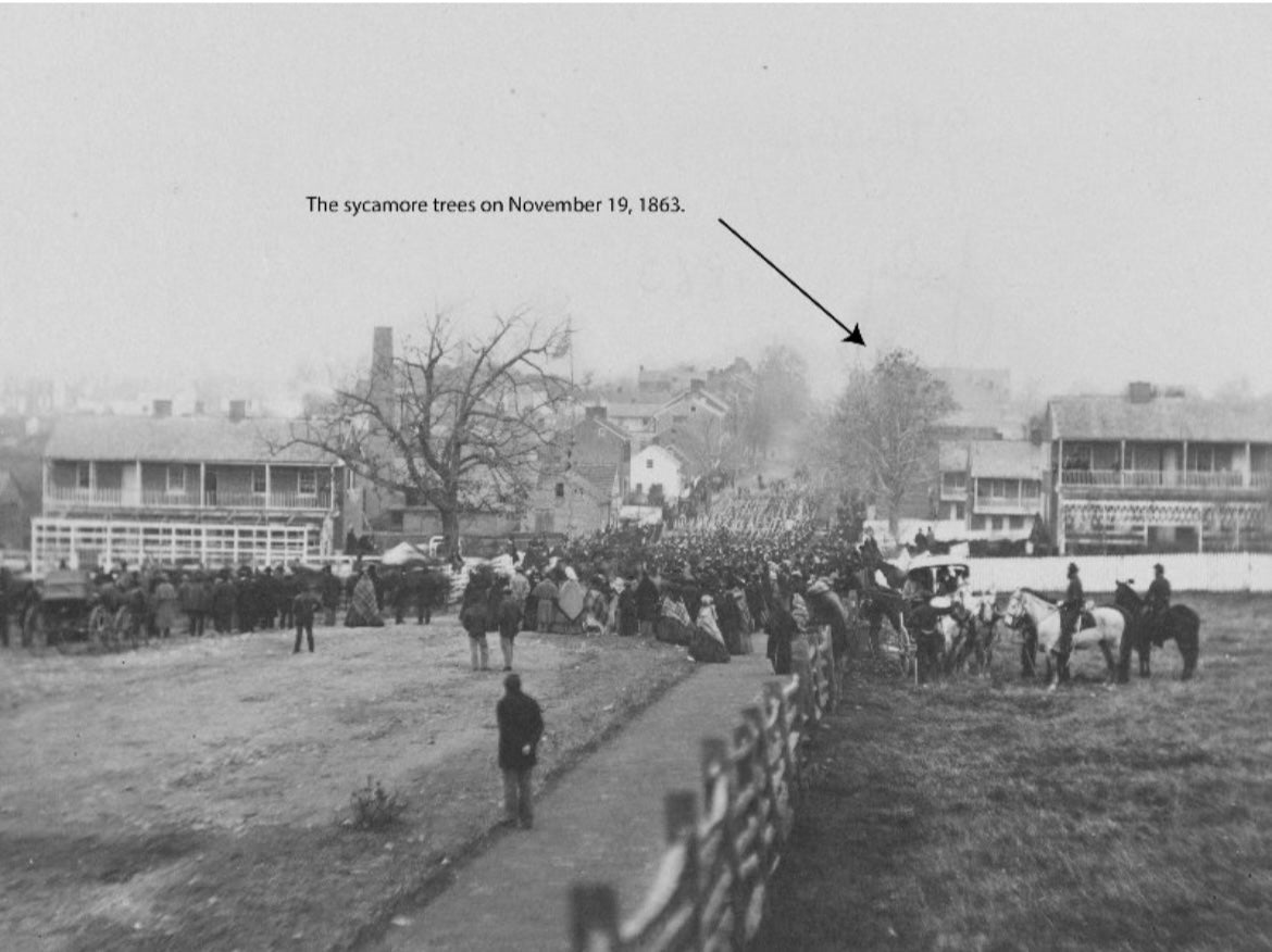 Gettysburg President Abraham ￼Lincoln (Witness Tree) Wood - Gettysburg Address