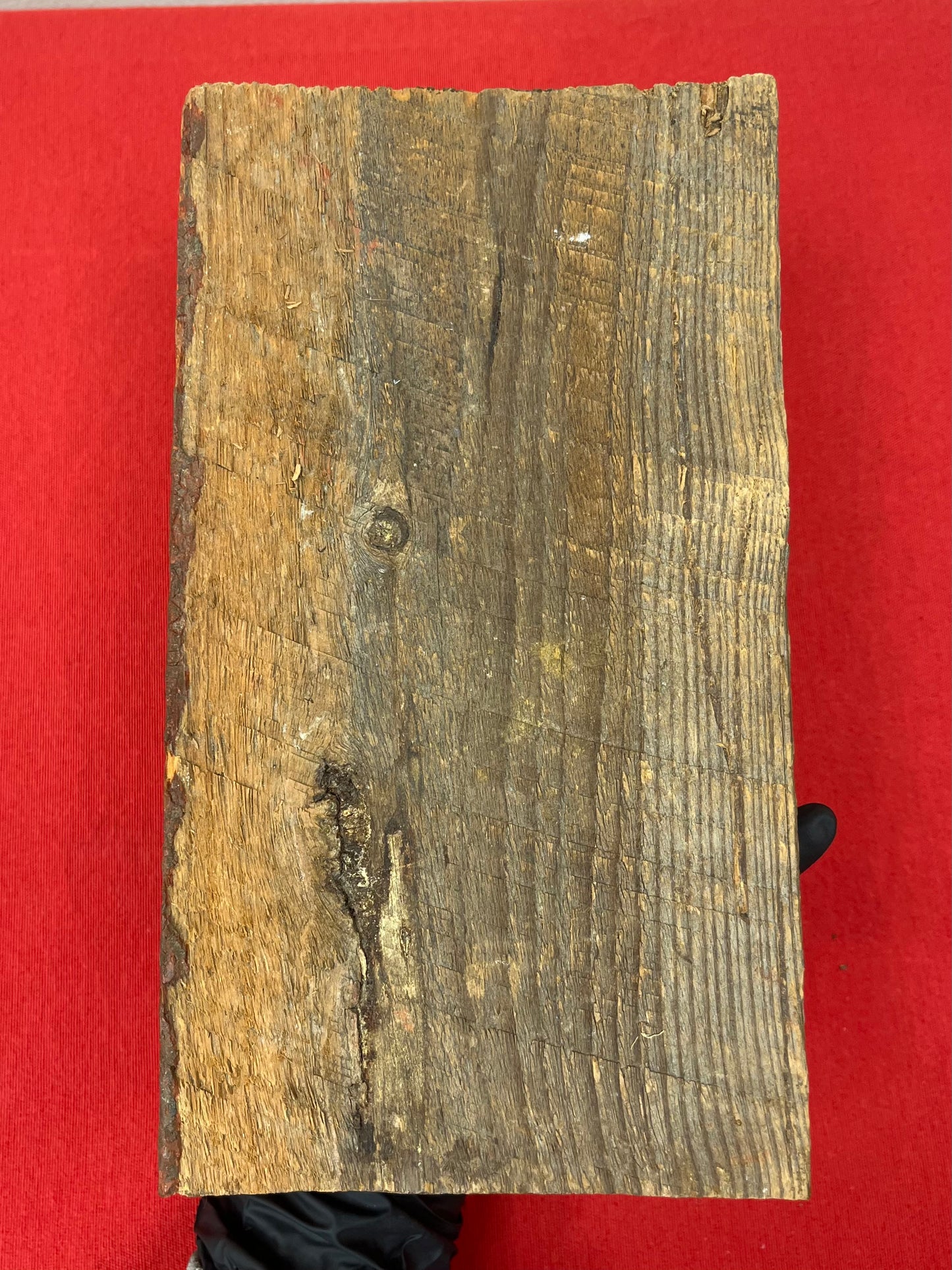 Civil War Antietam Battlefield Stonebridge “Burnside Bridge”Early Relic Board w/ Artifacts