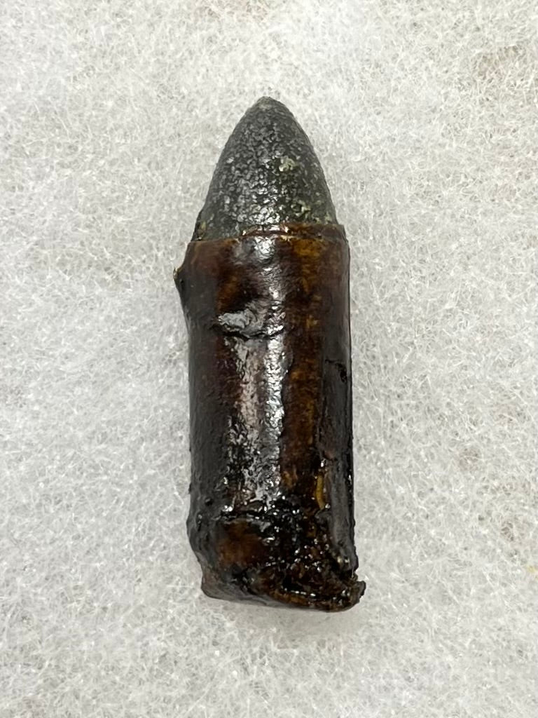 Civil War Colt Revolver Paper Cartridge/Bullet W/ Case - Authentic
