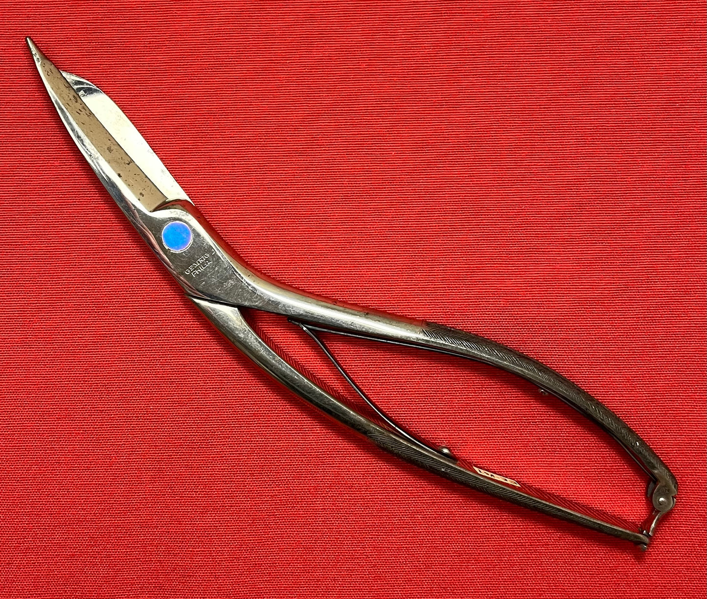 1880’s Seutin's Surgical Shears - Antique Medical Equipment