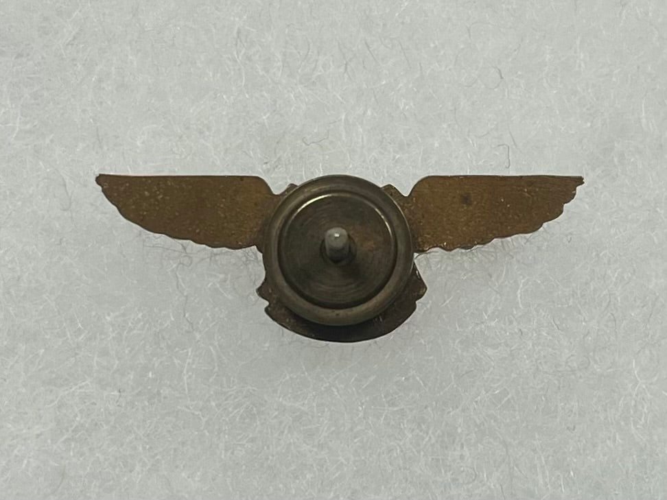 WW2 USAAF 21st Bomb Group Alis Et Animo Wings Pin / Badge