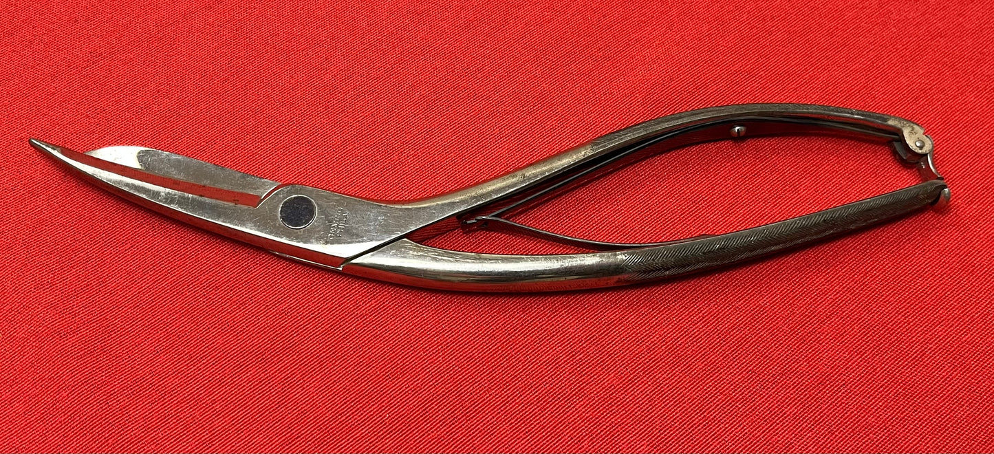 1880’s Seutin's Surgical Shears - Antique Medical Equipment