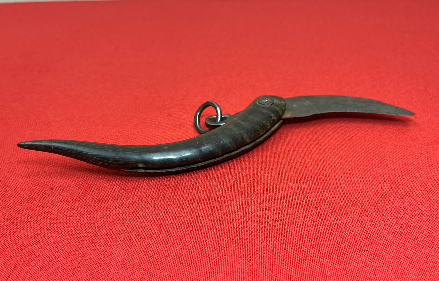 Pre-Civil War Folding Knife W/ Horn Handle
