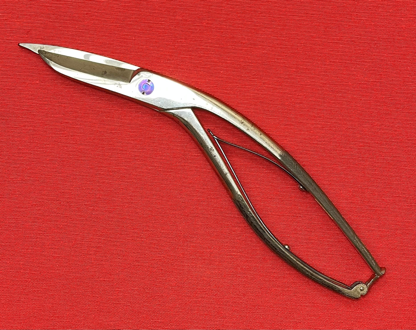 1880’s Seutin's Surgical Shears - Antique Medical Equipment