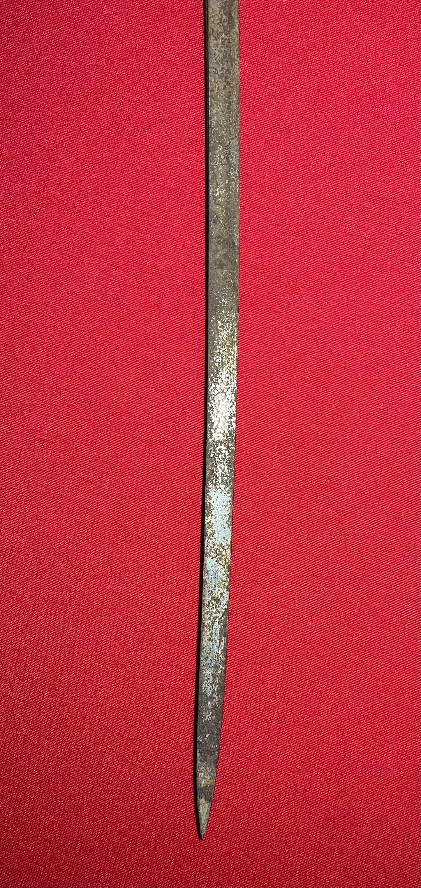 WW2 German Officer’s              Lion Head Sword by Ges Gesch 
(Relic) Battlefield Pickup