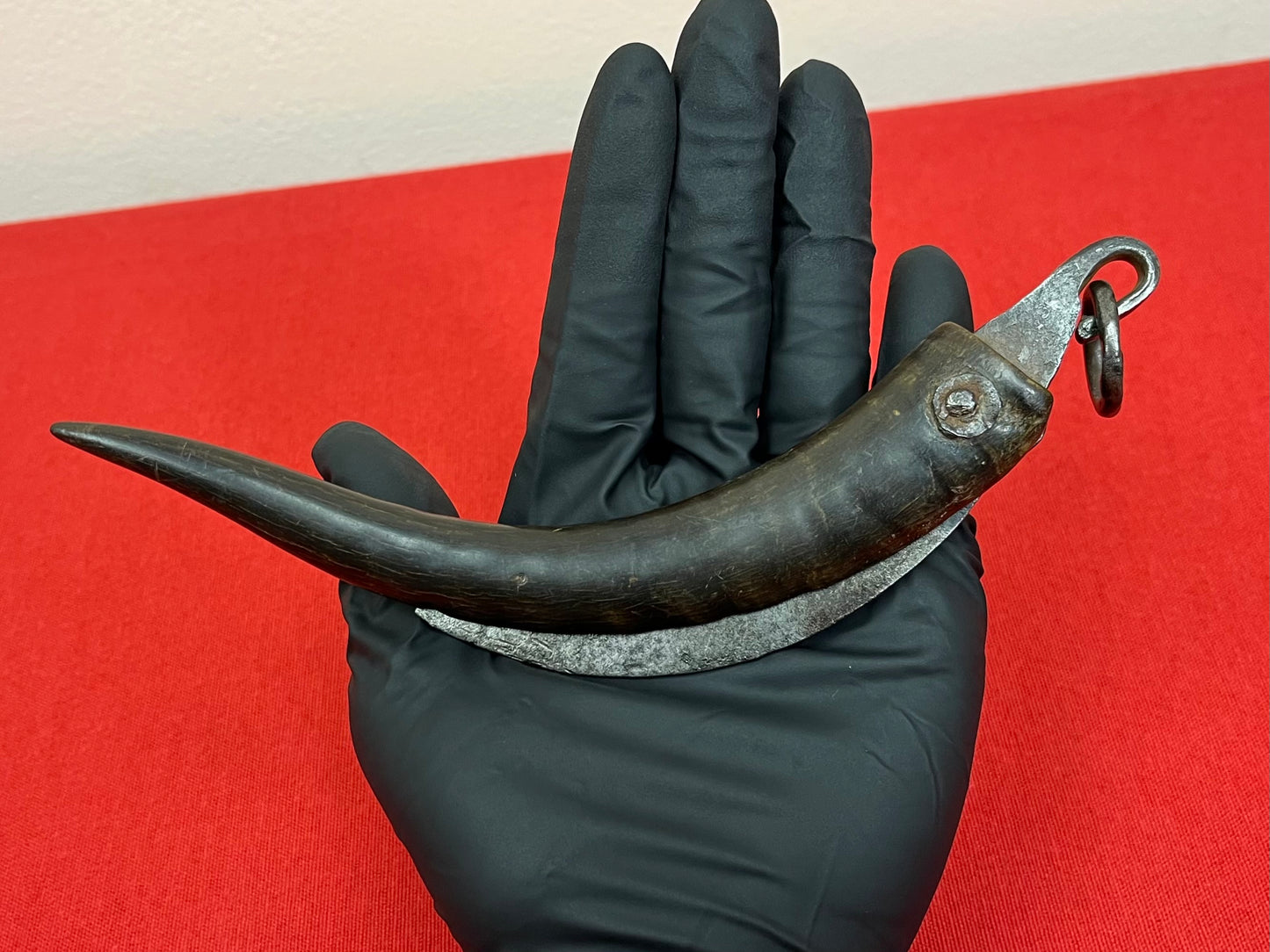 Pre-Civil War Folding Knife W/ Horn Handle