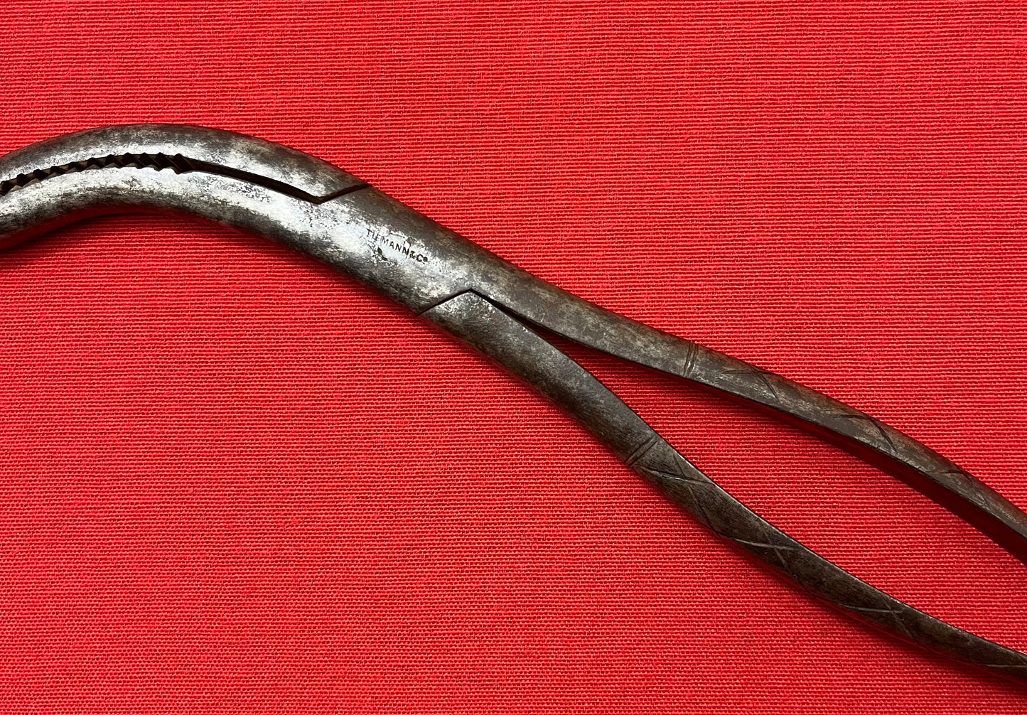 1801-1850 CRANIOTOMY CRANIOCLAST FORCEPS (CIVIL WAR ERA) BY TIEMANN & CO. #3