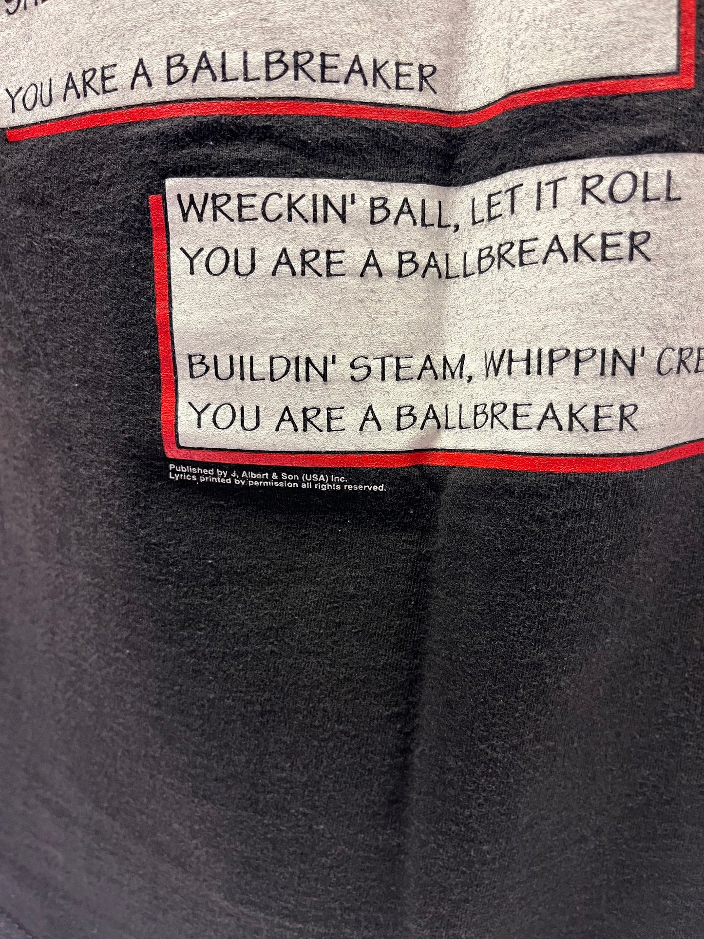Vintage 1995 AC/DC Ballbreaker Tour T-Shirt LG-USAir Arena DC Concert ORIGINAL