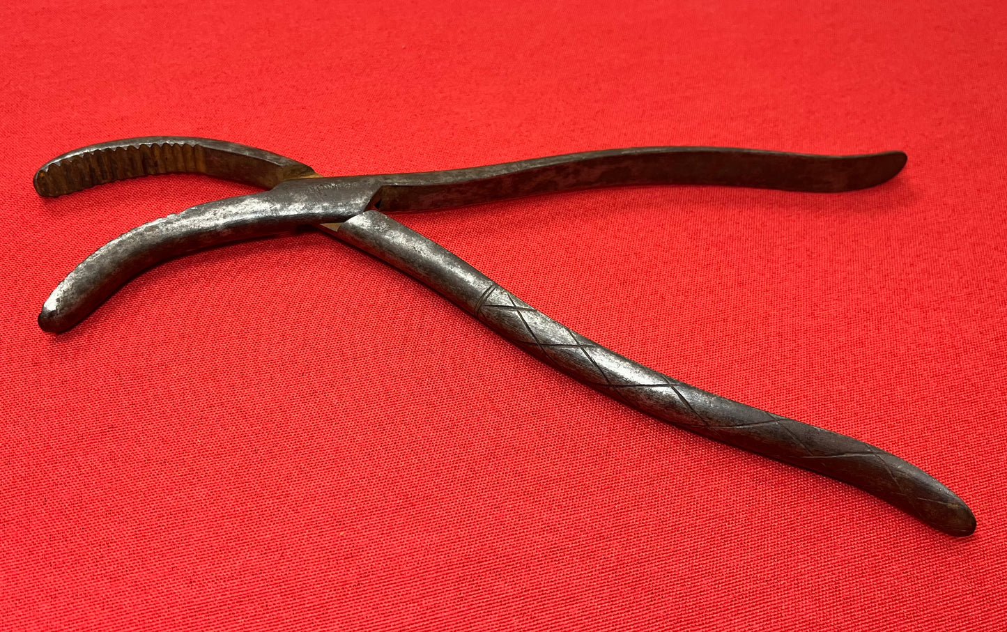 1801-1850 CRANIOTOMY CRANIOCLAST FORCEPS (CIVIL WAR ERA) BY TIEMANN & CO. #3