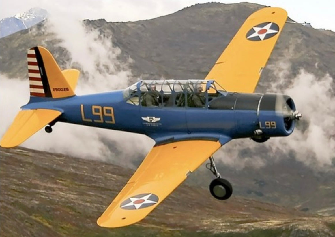 WW2 U.S. Vultee BT-13 Valiant Aircraft Wing Piece (Signed) Canvas Insignia 30”