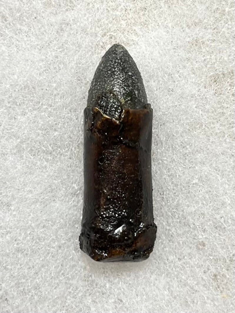 Civil War Colt Revolver Paper Cartridge/Bullet W/ Case - Authentic