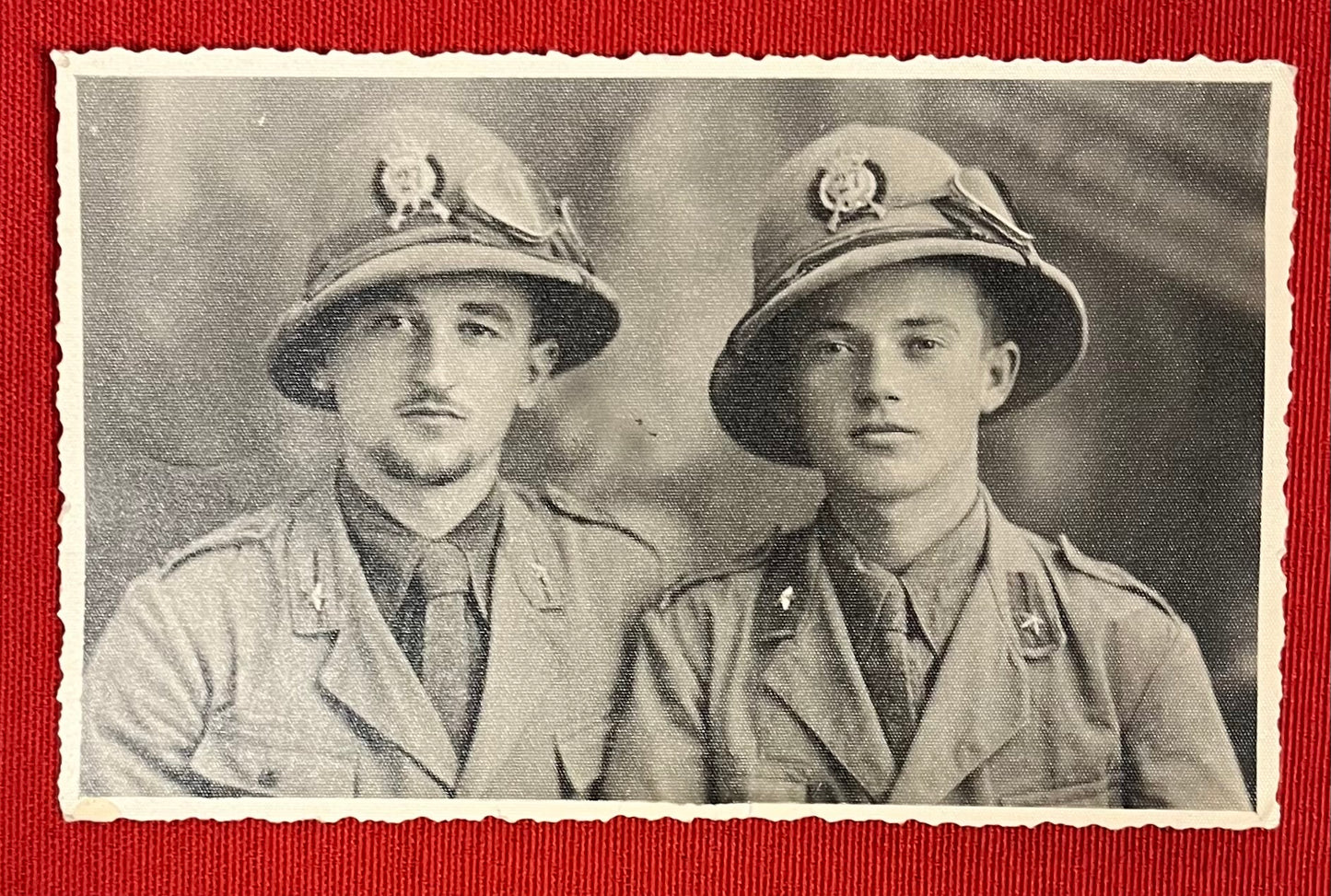 WWII Fascist Youth (GIL) Victory Tinnie & Membership Card + Photos (Scarce)