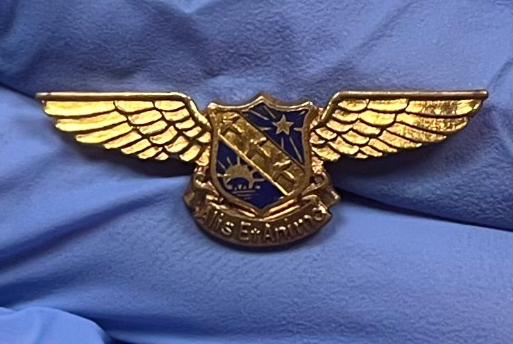 WW2 USAAF 21st Bomb Group Alis Et Animo Wings Pin / Badge