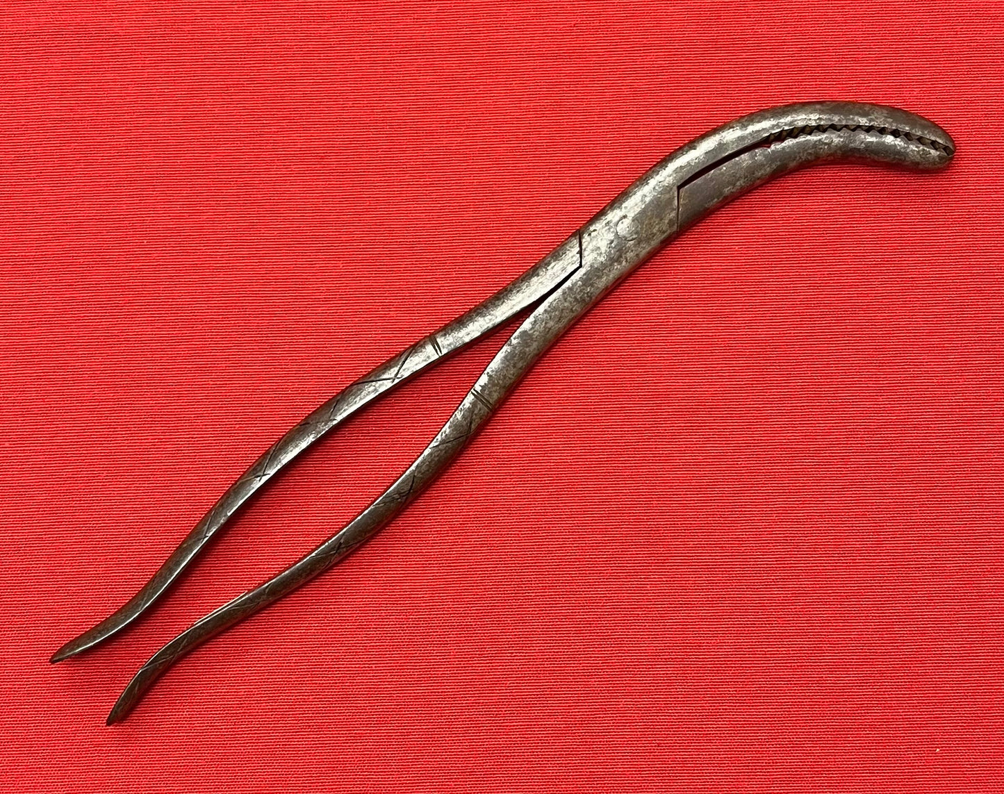 1801-1850 CRANIOTOMY CRANIOCLAST FORCEPS (CIVIL WAR ERA) BY TIEMANN & CO. #3