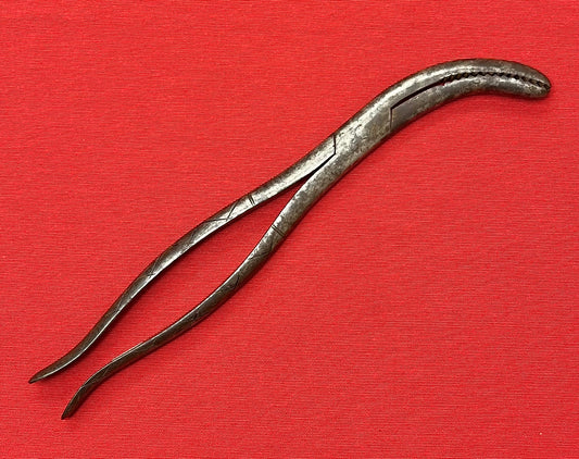 1801-1850 CRANIOTOMY CRANIOCLAST FORCEPS (CIVIL WAR ERA) BY TIEMANN & CO. #3