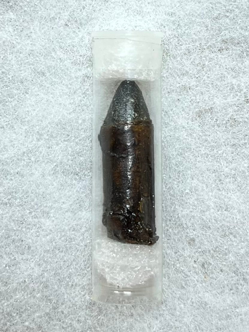 Civil War Colt Revolver Paper Cartridge/Bullet W/ Case - Authentic