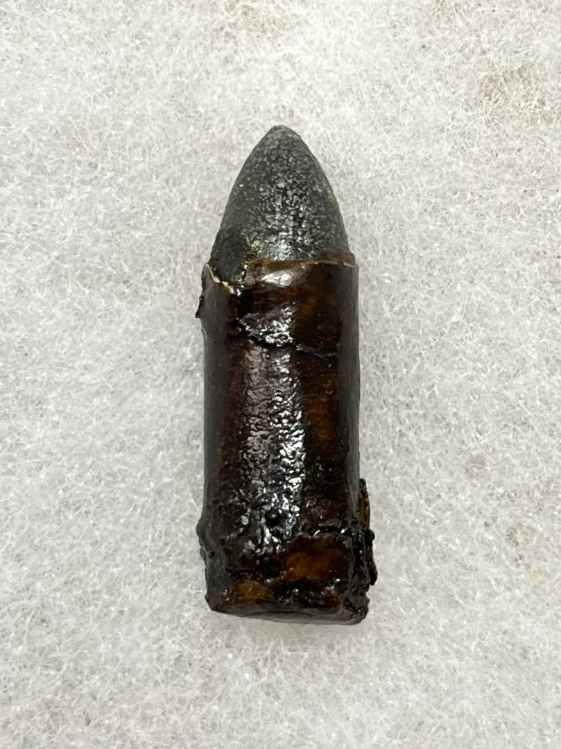 Civil War Colt Revolver Paper Cartridge/Bullet W/ Case - Authentic