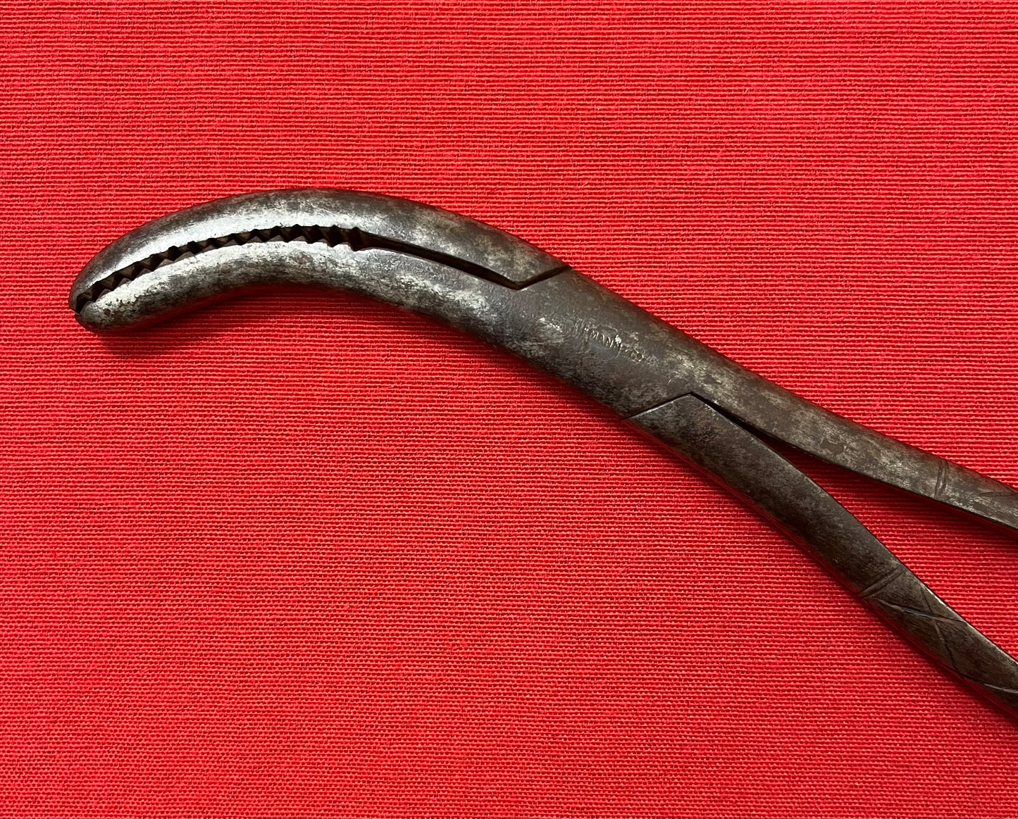 1801-1850 CRANIOTOMY CRANIOCLAST FORCEPS (CIVIL WAR ERA) BY TIEMANN & CO. #3