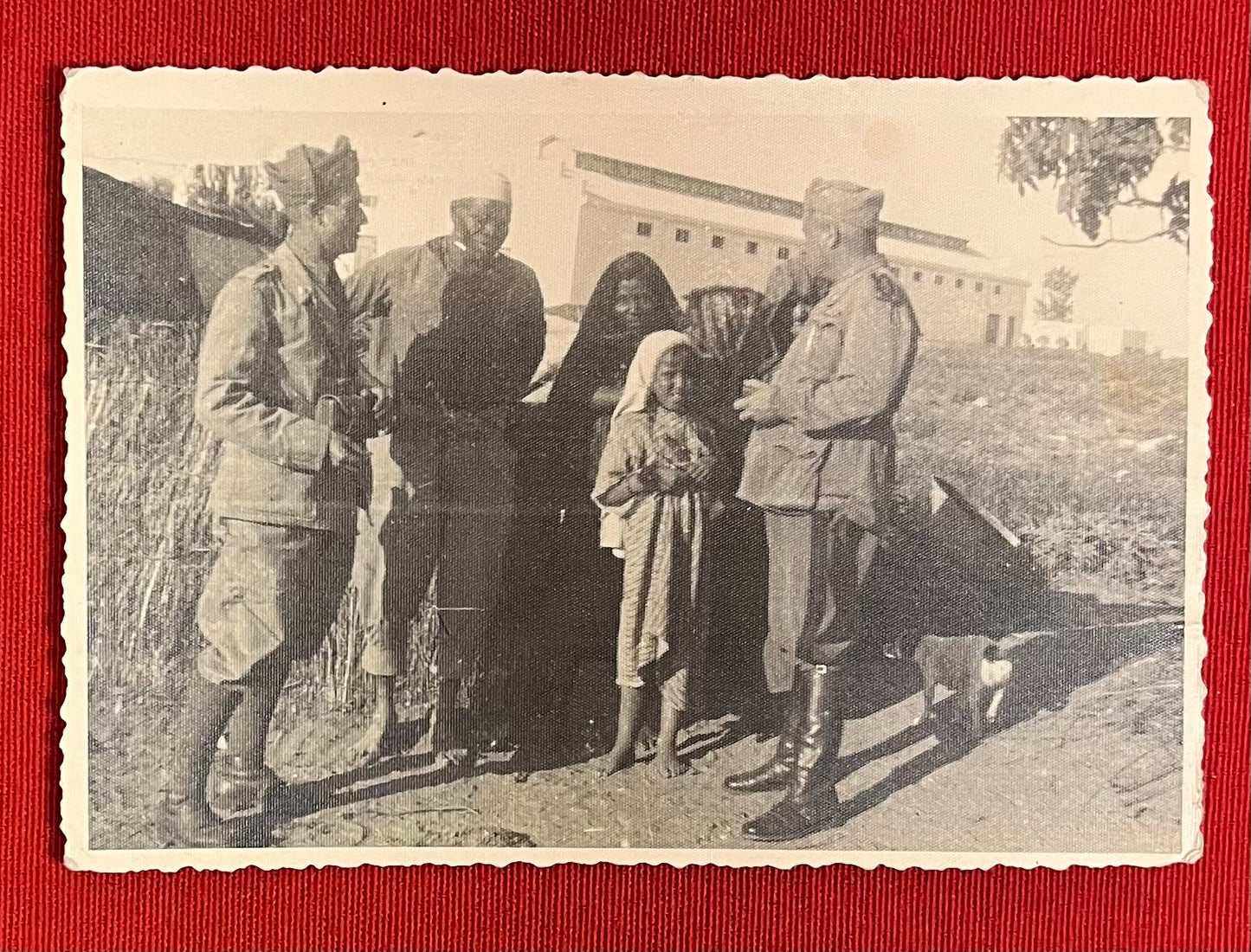 WWII Fascist Youth (GIL) Victory Tinnie & Membership Card + Photos (Scarce)