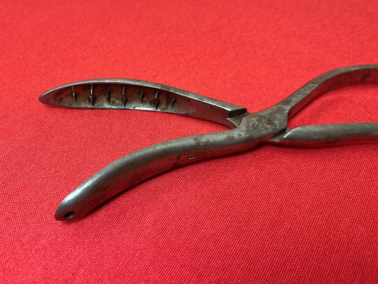EARLY 1800’S CRANIOCLAST FORCEPS - ANTIQUE MEDICAL EQUIPMENT (CIVIL WAR ERA) #2
