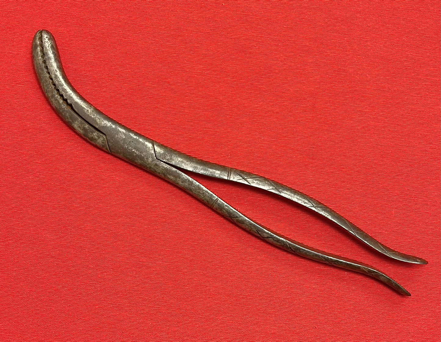 1801-1850 CRANIOTOMY CRANIOCLAST FORCEPS (CIVIL WAR ERA) BY TIEMANN & CO. #3
