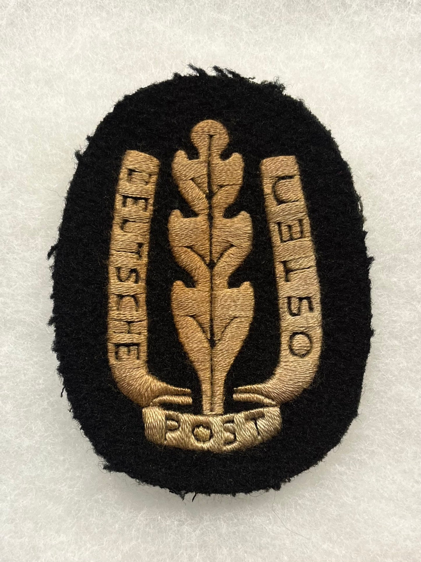 WW2 WWll German “Deutsche Post Osten" German Postal Workers Patch 1939 Poland