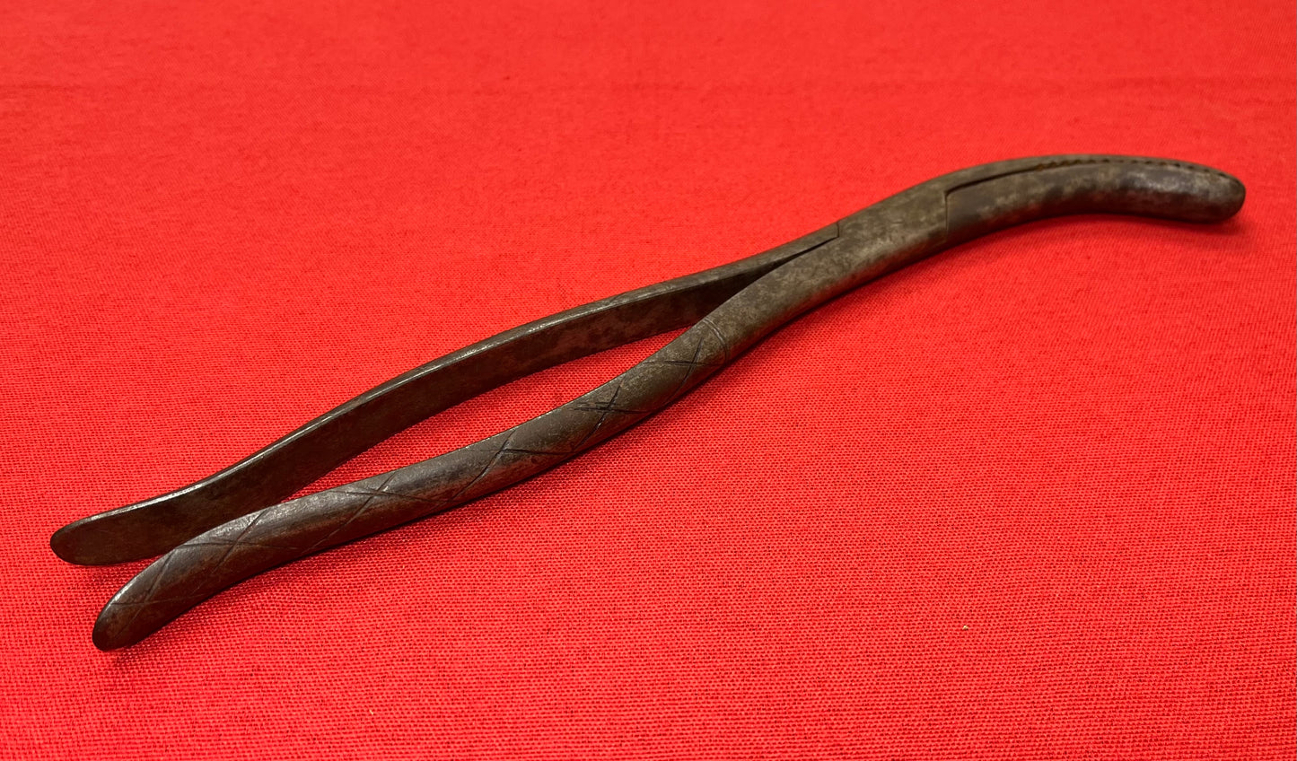 1801-1850 CRANIOTOMY CRANIOCLAST FORCEPS (CIVIL WAR ERA) BY TIEMANN & CO. #3